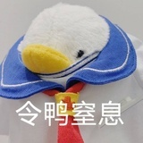来捡垃圾