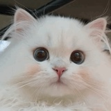 风吹我远走