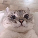 八月底