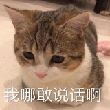 小猪uu🇨🇳