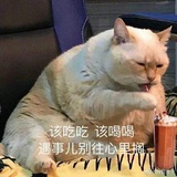 苦艾少年