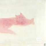 空气茧