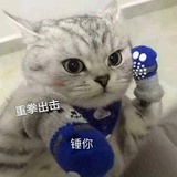 清蒸清蒸蒸蒸蒸
