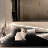 麦吉克