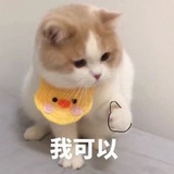 先吃饱吧