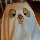 Hhhh