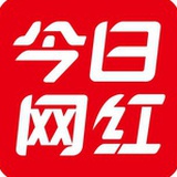 网红团队