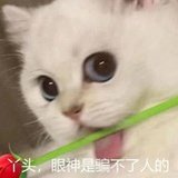 小尘寰