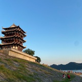 皮拉美奇诺