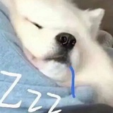 kazzz