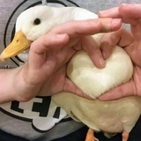 日上三竿