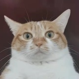 第❻地下室