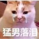 猛男