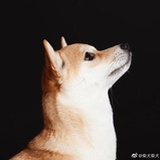林悠然