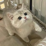 棒棒糖🍭