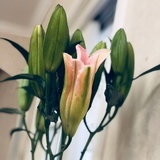 好好的