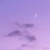 Purple  moon