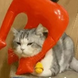 主动降低期望值