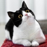 。