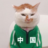 柴西德