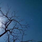 霸道柜员爱上我