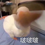 不记得了。