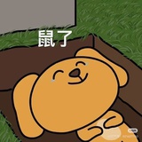 我的磕糖工具人
