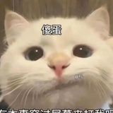 一井
