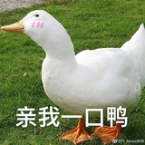 瓜瓜大瓜
