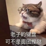 锦鲤大王