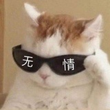 无情的狗子
