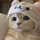 神秘番茄妹