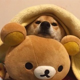 已注销