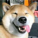 江湖桃子