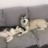我亦是行人