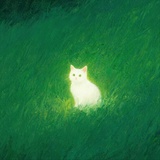 猫猫头