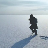 Daytripper