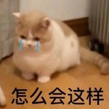 尼莫卡卡卡的