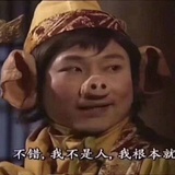 已注销