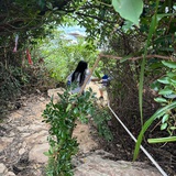 小小少年
