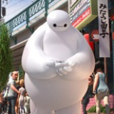 小q先生