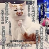 拯救三观
