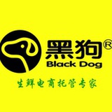 黑狗冷链快递