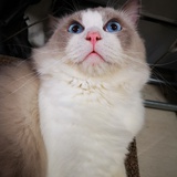 陈瑾年