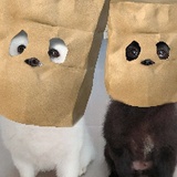 火爆辣妹
