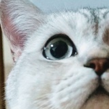 叮当睡不醒