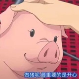 大肥猪