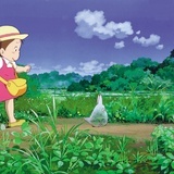 孤独百年