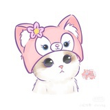 momo（已健身
