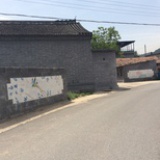 吾家老四